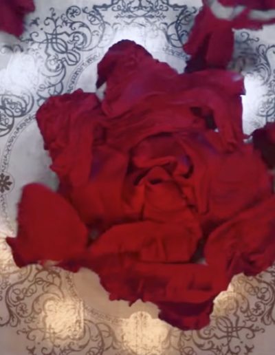 Ariana Grande & John Legend - Beauty & the Beast